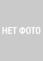 ДТ-123: Вейник остроцветковый Аваланш (Поставка под заказ из питомника Дикие Травы)